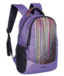 Zwart-25-Ltrs-Purple-Printed-School-Backpack-FAZER-Raindrop