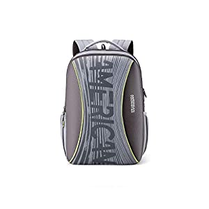 American Tourister Twing 26 Ltrs Grey Casual Backpack  FD0  0  08 002  AllTrickz.jpg